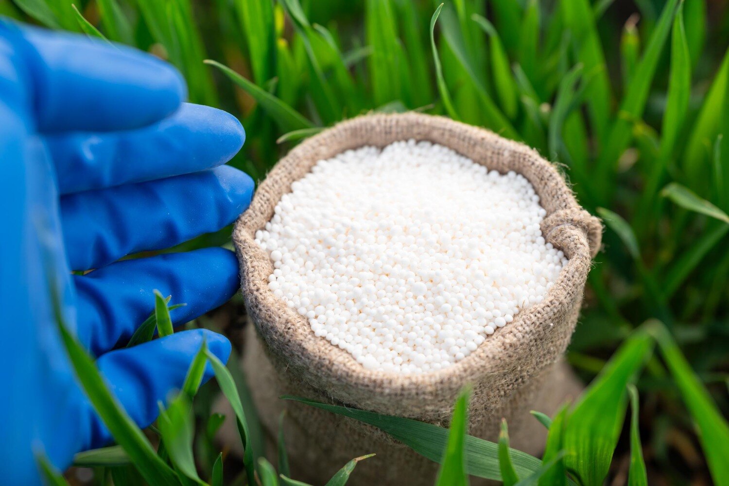 Ammonium Sulphate Grades and Supply Options in Vadodara