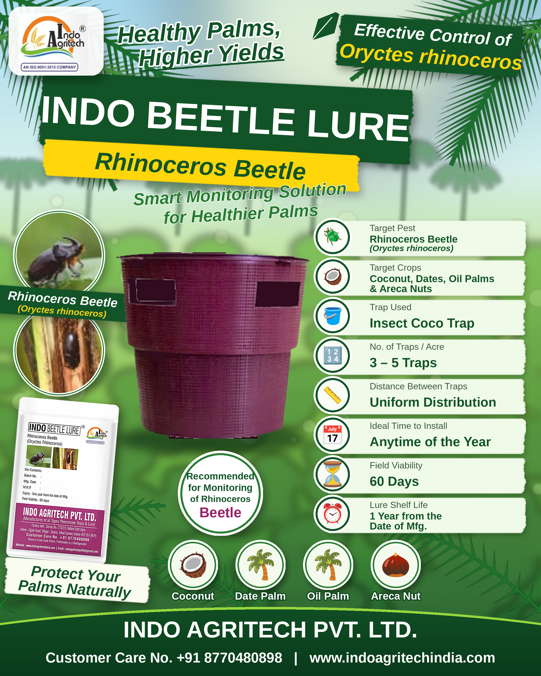 INDO RHINOCEROS BEETLE LURE – Oryctes rhinoceros