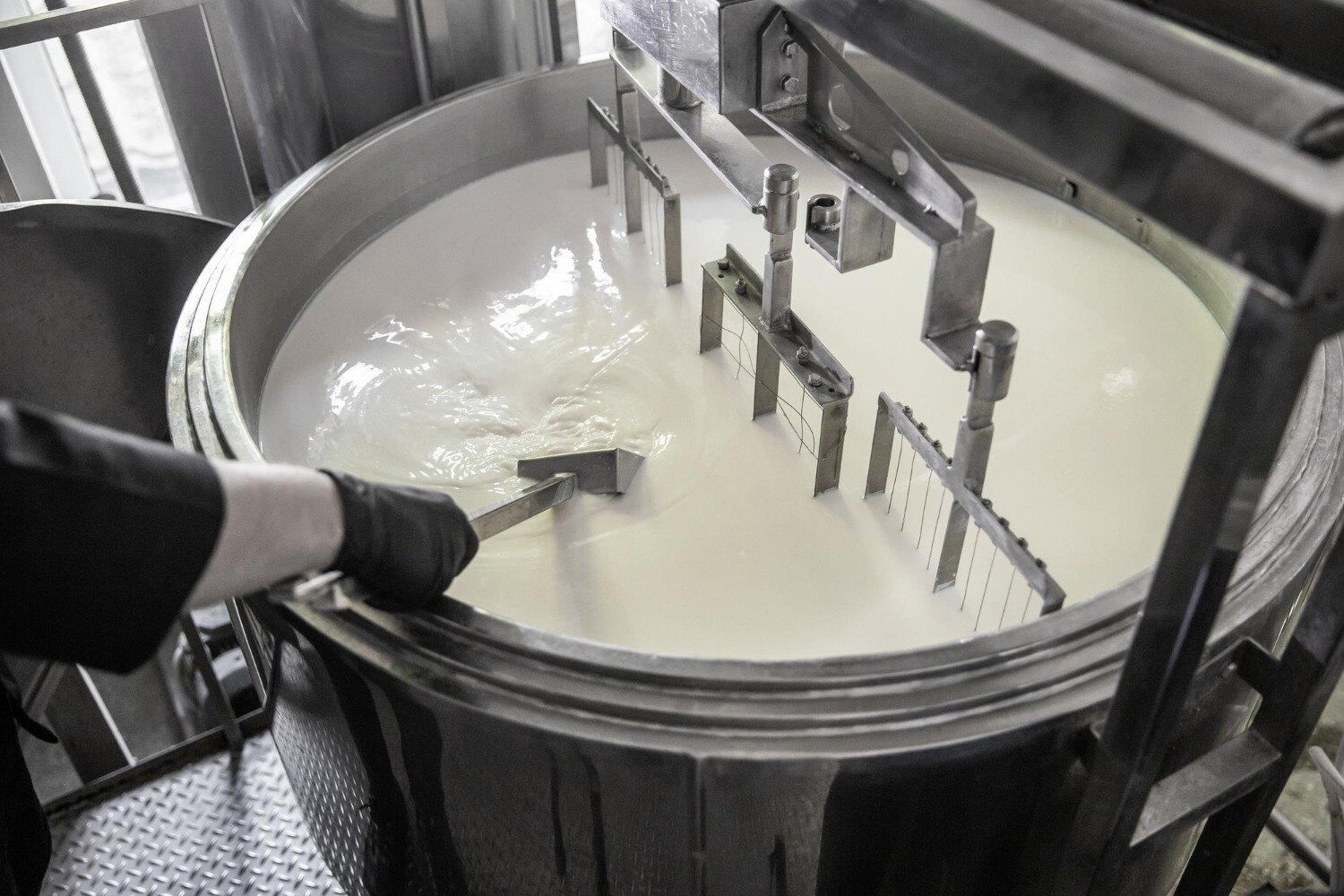 How Seasonal Demand Makes a Curd Making Machine Valuable in Ambala
