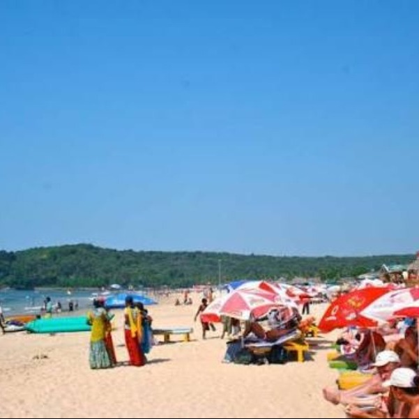 Places To Visit In Goa
Morjim Beach
Morjim Beach, Goa Overview
Morjim Beach is one of the most tr...
