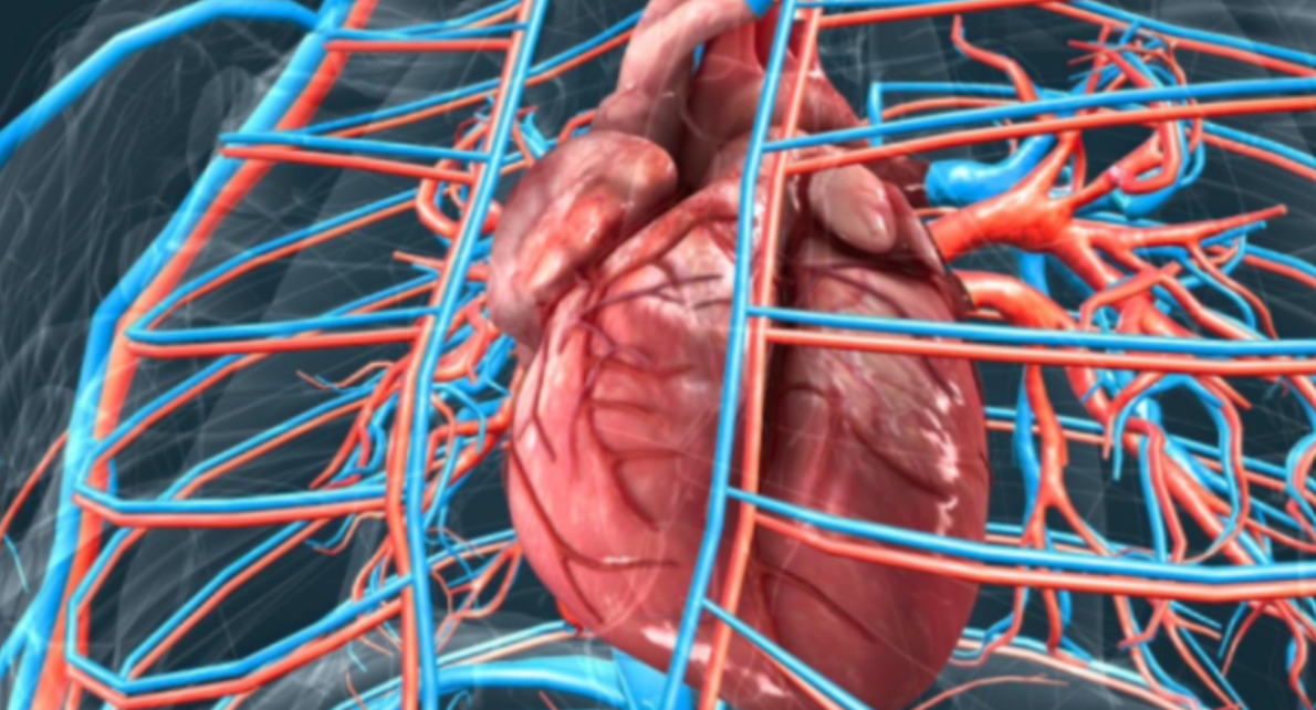 How Endovascular Procedures Are Changing Treatment for Vascular Conditions