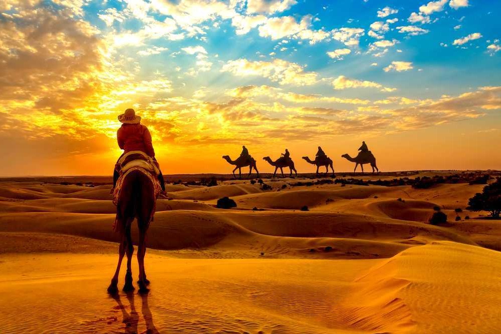 places to visit rajasthan
Jaisalmer
Jaisalmer Tourism
Jaisalmer, a mesmerizing destination nestle...