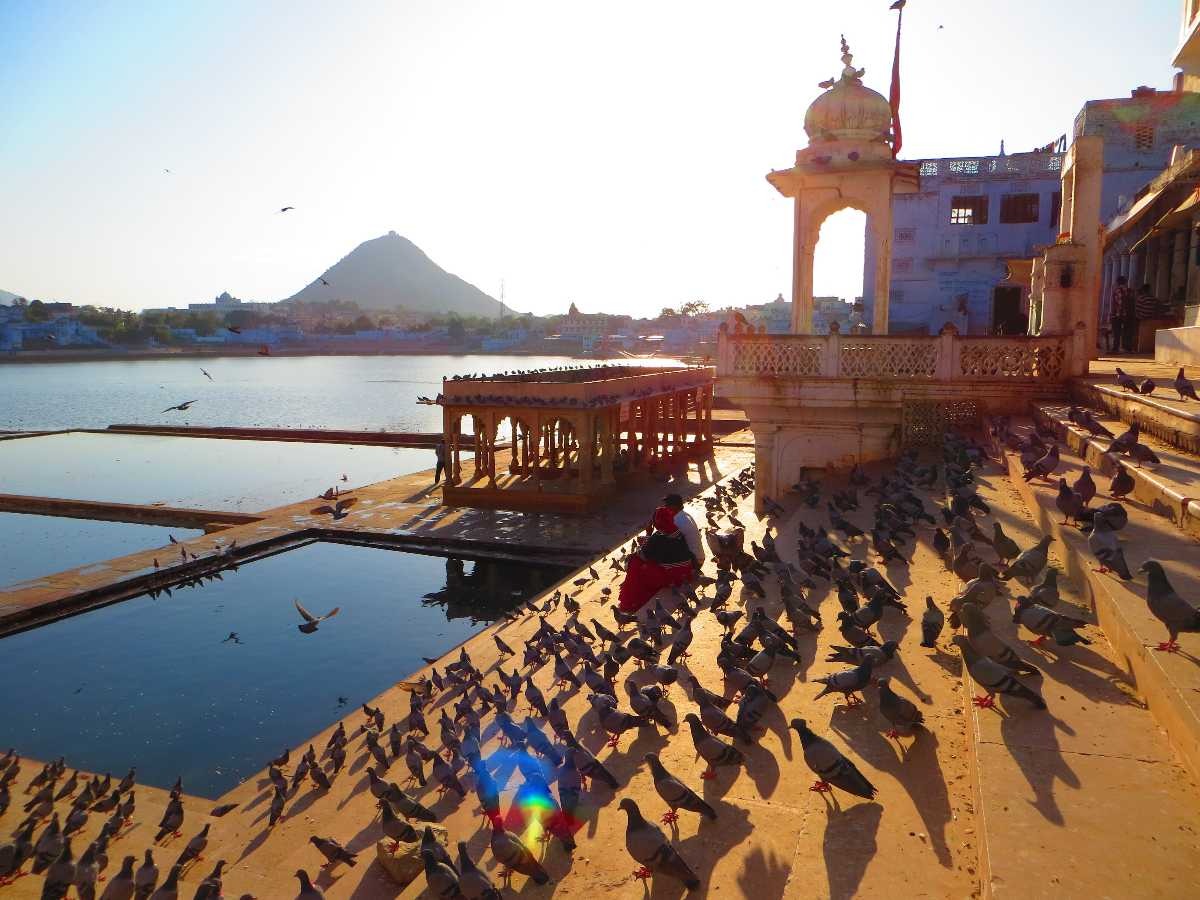 places to visit rajasthan
Pushkar
Pushkar Tourism
Pushkar wraps itself around a lake said to have...