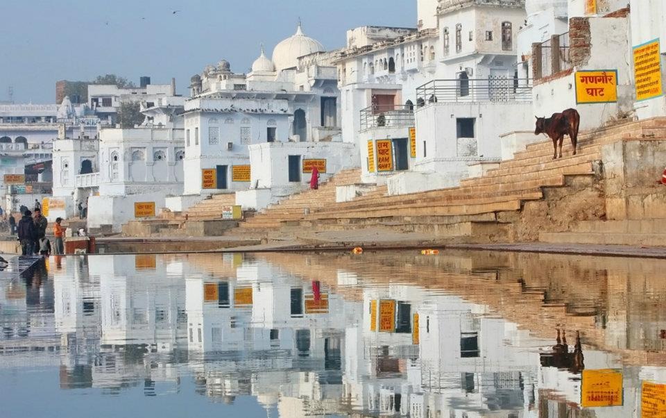 places to visit rajasthan
Nathdwara
Nathdwara Tourism
Nestled amidst the Aravalli Hills, the cha...
