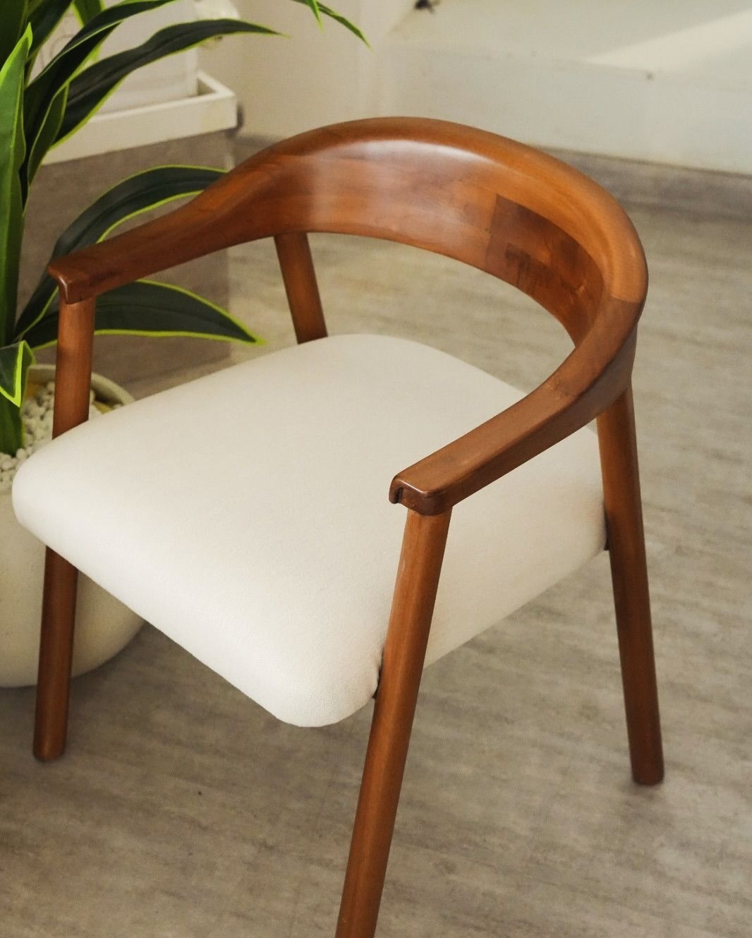 Upholstered Cafe Chair Manufacturer in Delhi – Divine Oak Wood