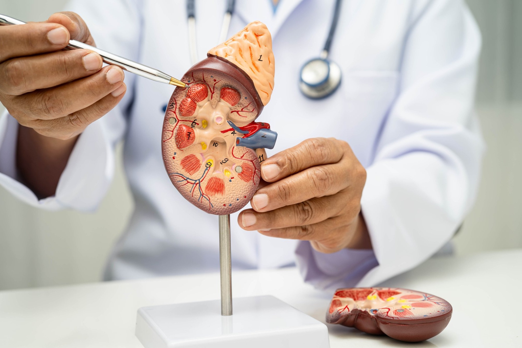 Nephrology in Pune When Kidney Health Needs Specialist Care