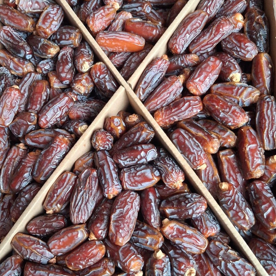 FRESH WET DATES IMPORTER & Wholesaler IN NAVI MUMBAI AND MUMBAI