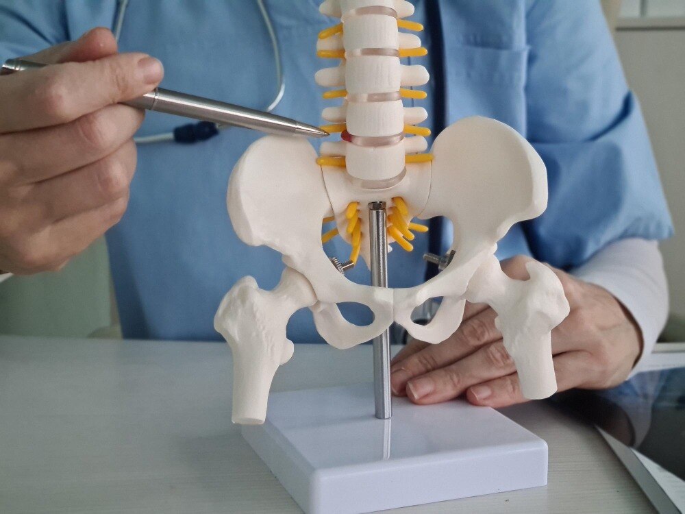 Hip Pain and Mobility Problems That May Need a Hip Replacement Doctor