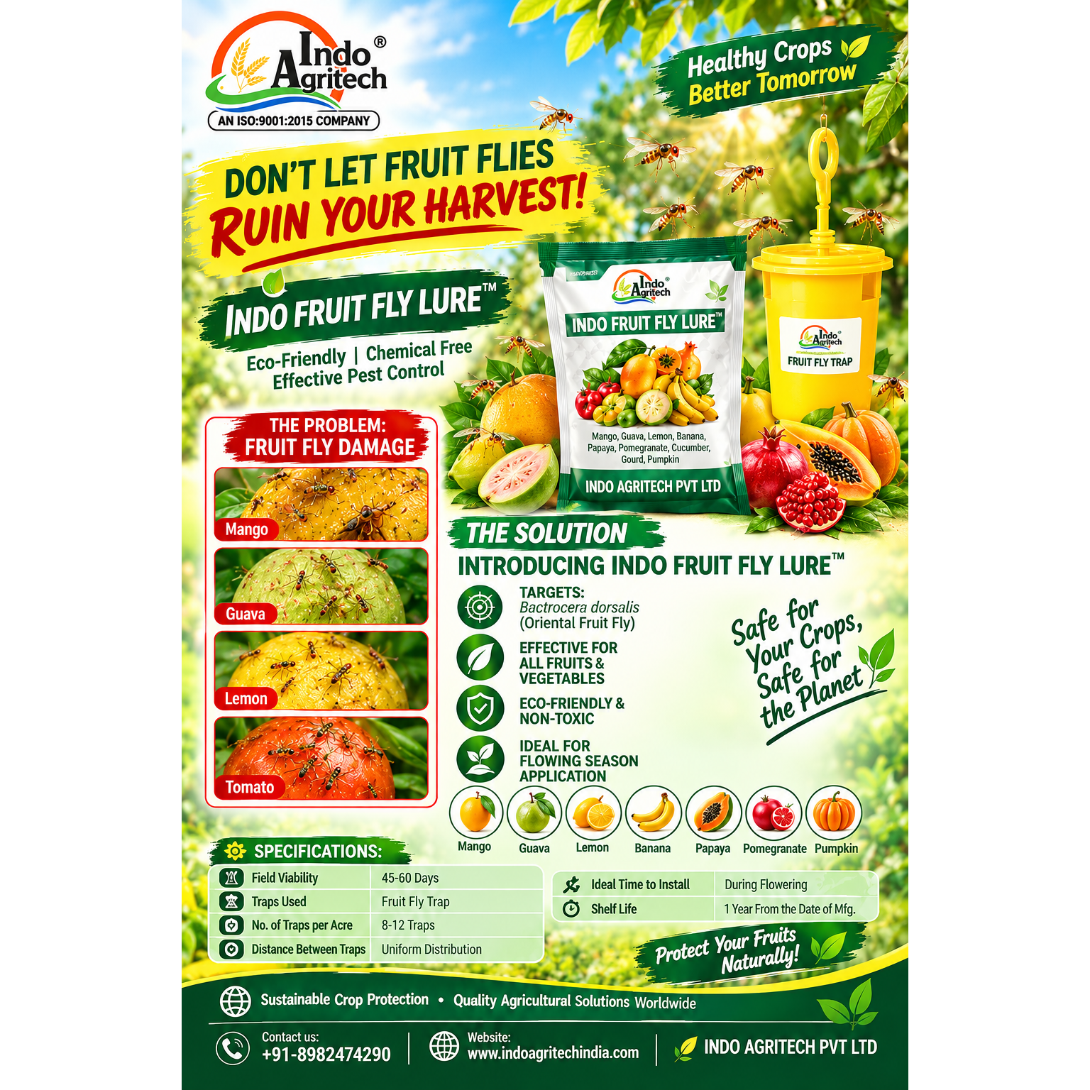 INDO FRUIT FLY LURE™ + FRUIT FLY TRAP™ | Fruit Fly Monitoring Solution