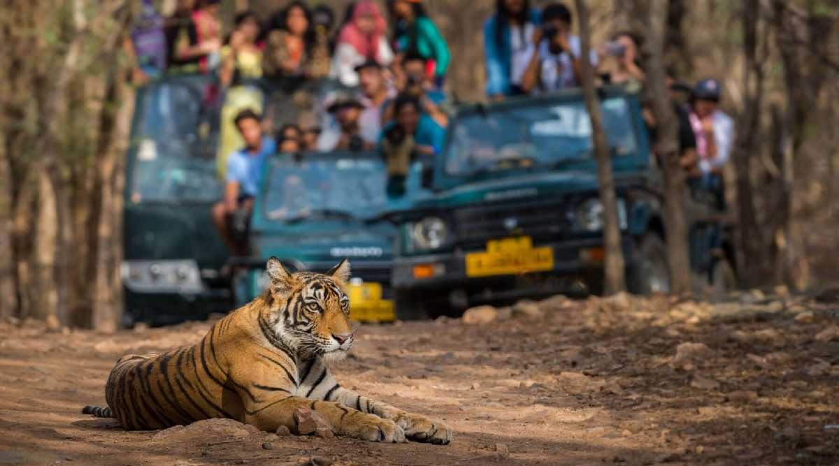 Tourist places in Uttar Pradesh
Dudhwa National Park
Dudhwa National Park Tourism
Nestled in the ...