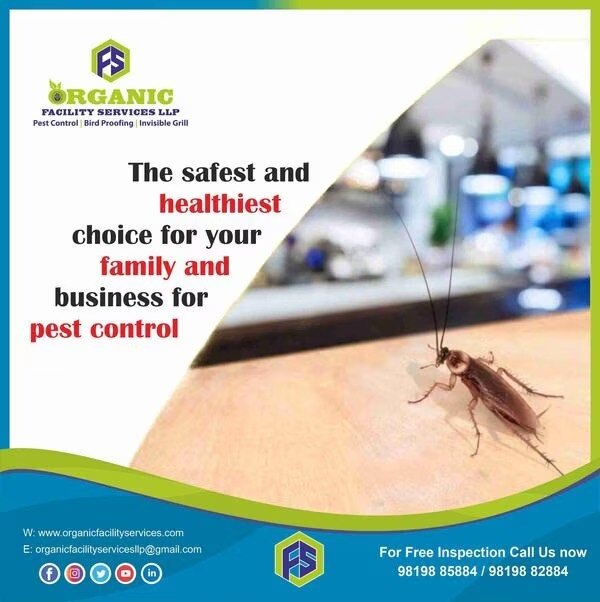 Cockroach Pest Control Available Today for Mumbai Apartments