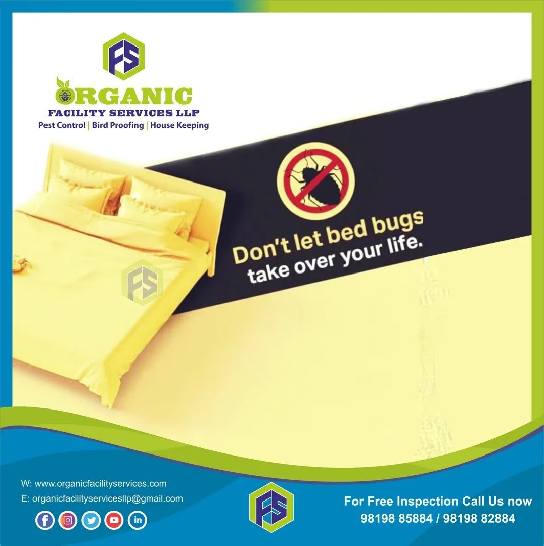 Which Bed Bug Treatment Suits Mumbai Hotels and Guesthouses