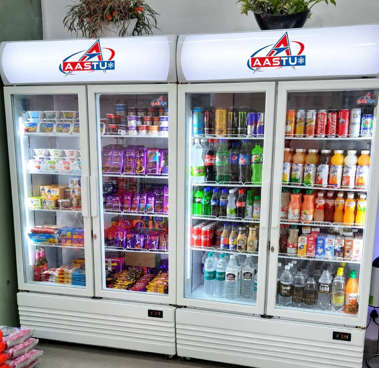 Supermarket 2 door visicooler 1100L In Madhya Pradesh
