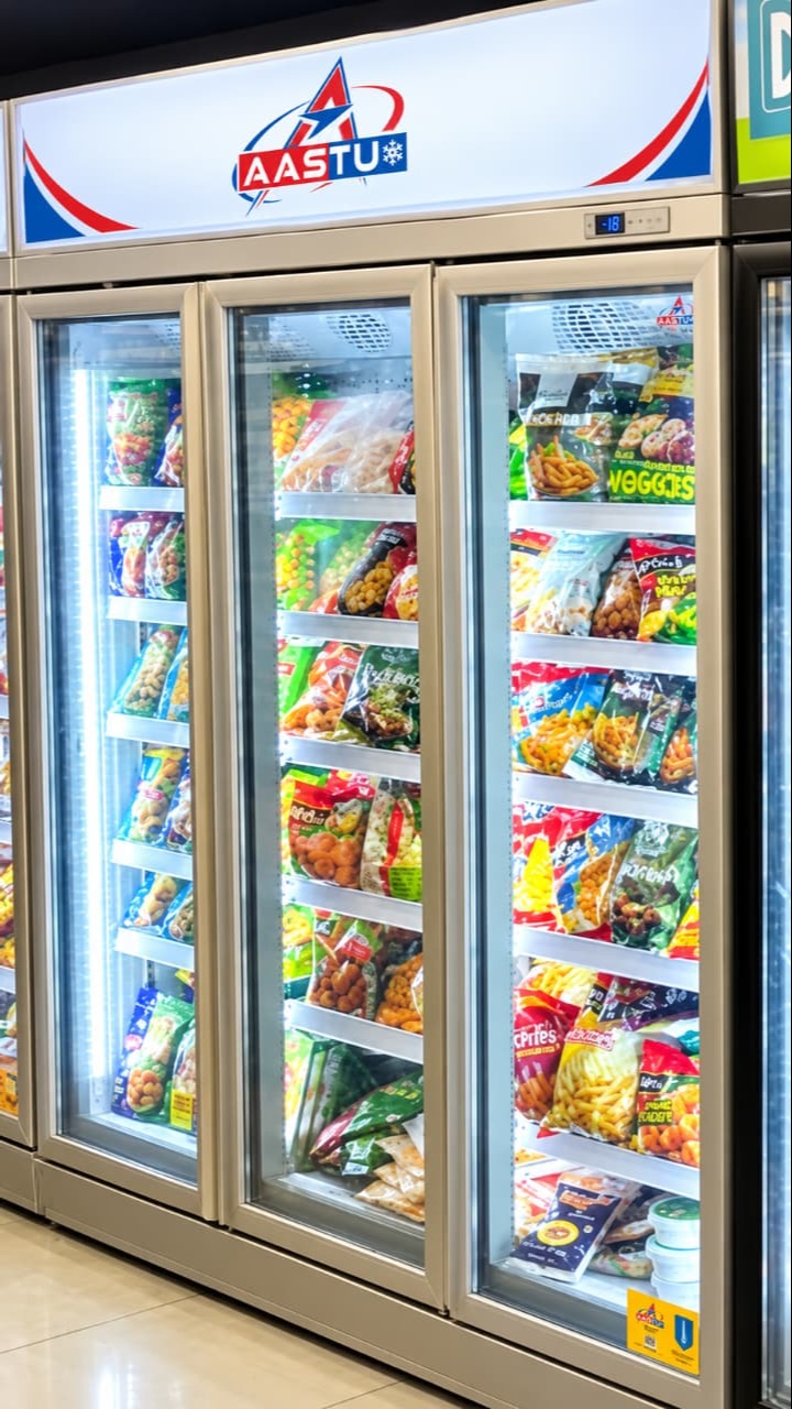 Supermarket 2 door 1100L Plugin freezer in Jalandhar
