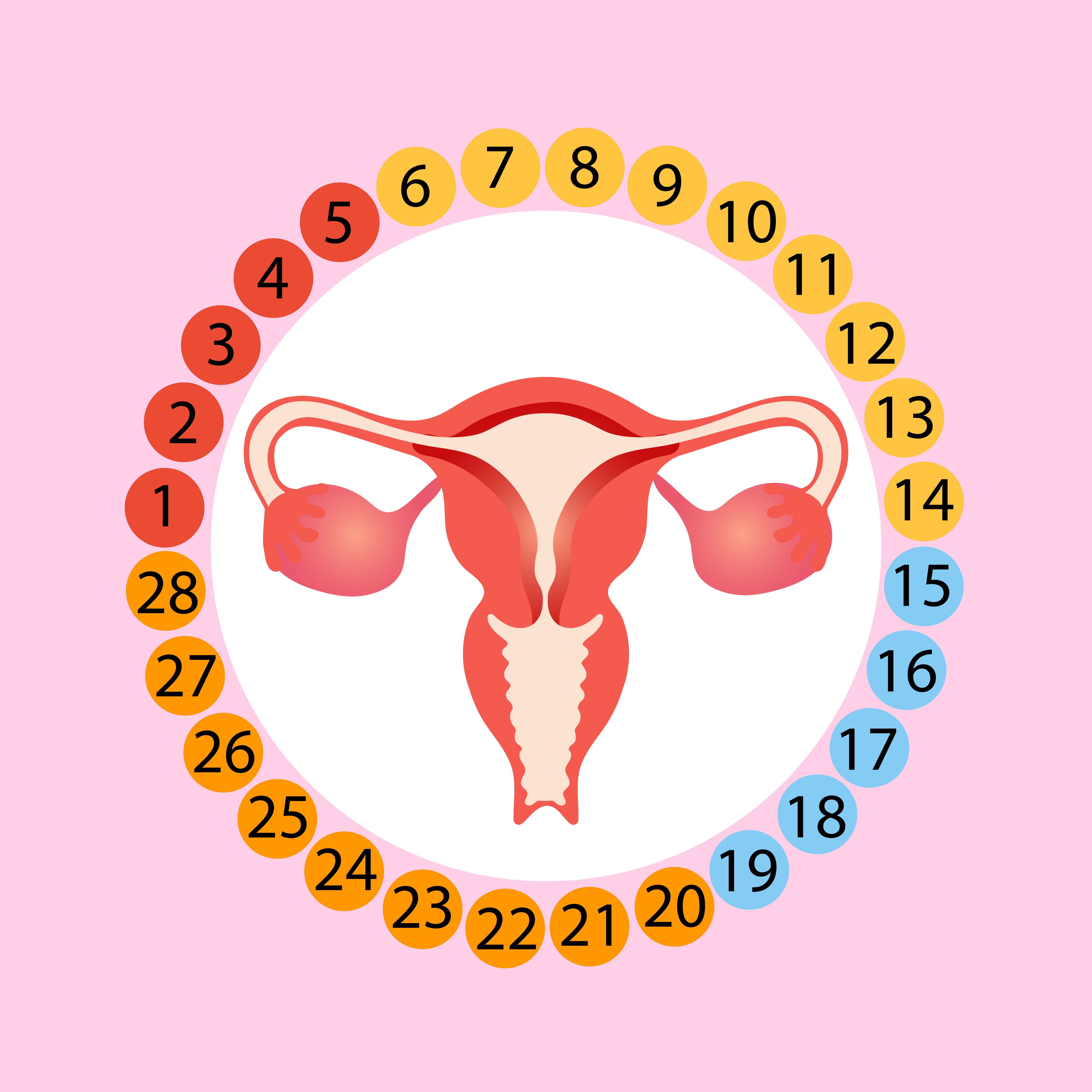 When Irregular Periods Need Medical Evaluation Instead of Waiting