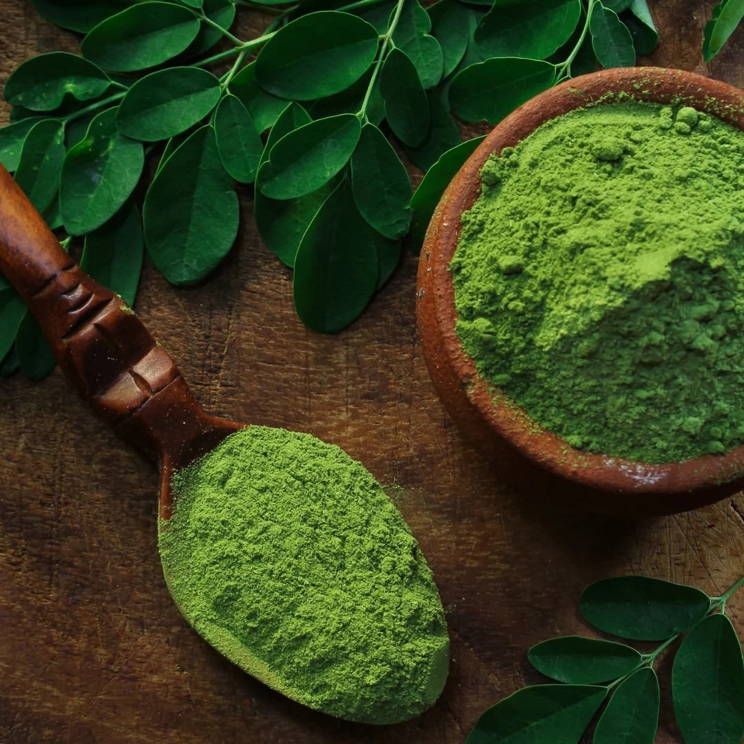 Moringa Powder Supplier India | Bulk Exporter & Global Supply | Buy Moringa powder | exporter India