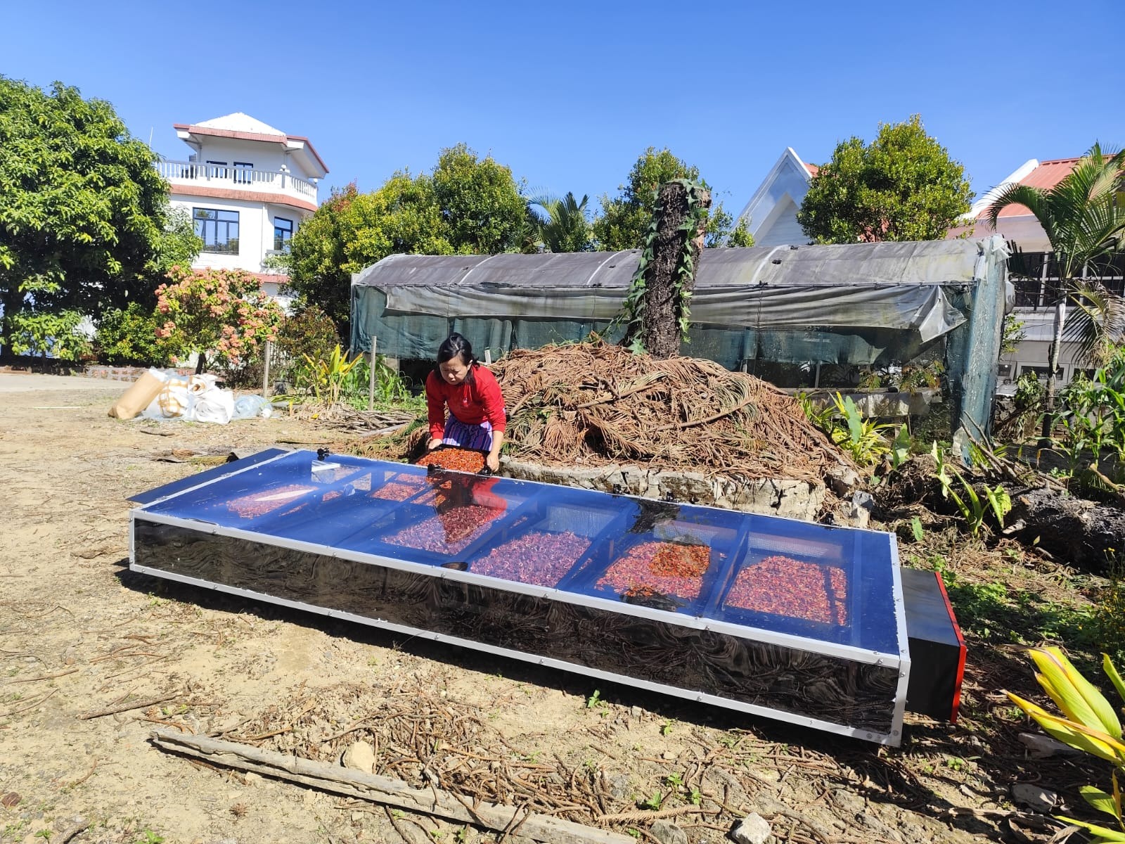 Solar Dryer Manufacturer In Tamilnadu