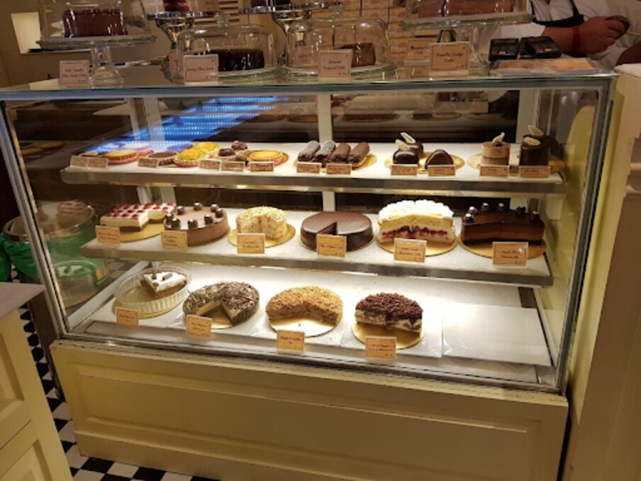 How the Right Display Equipment Can Improve Food Presentation and Counter Operations