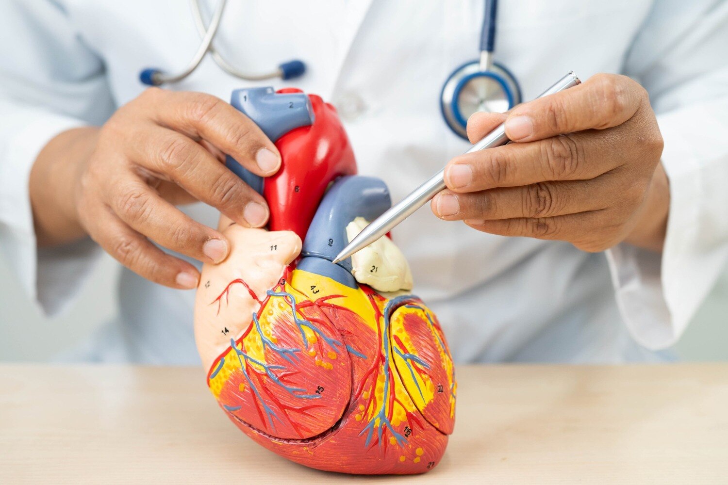 Angina Treatment in Belapur for Relief from Heart Related Chest Pain