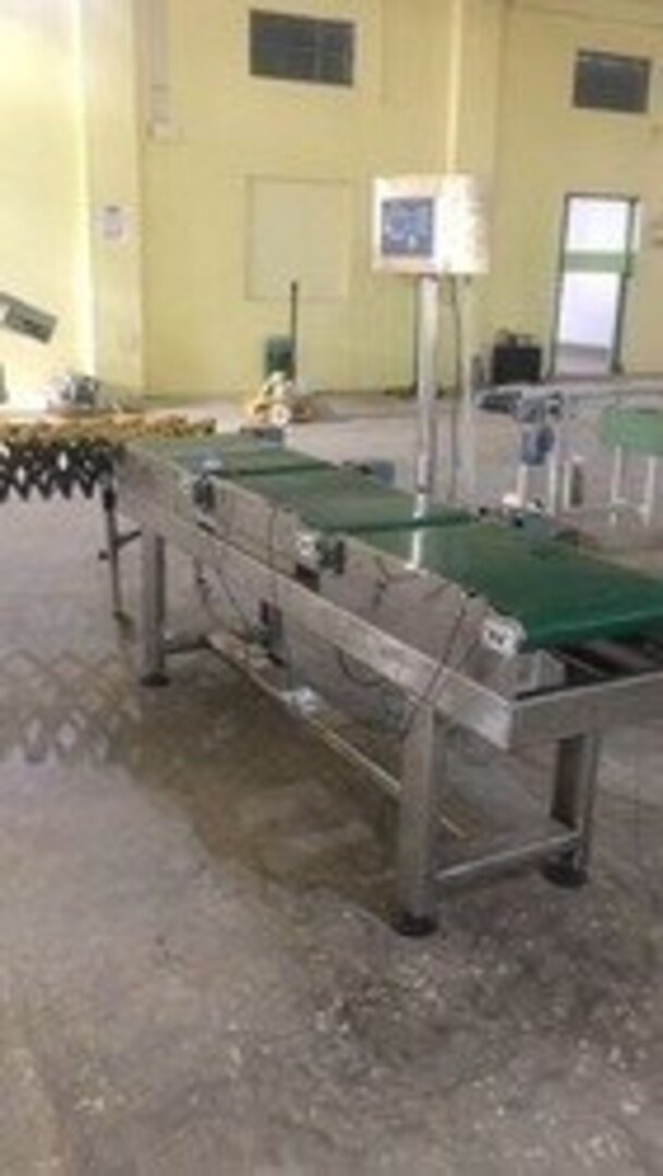 How an Online Checkweigher Belt Conveyor System Helps Identify Incorrect Package Weights