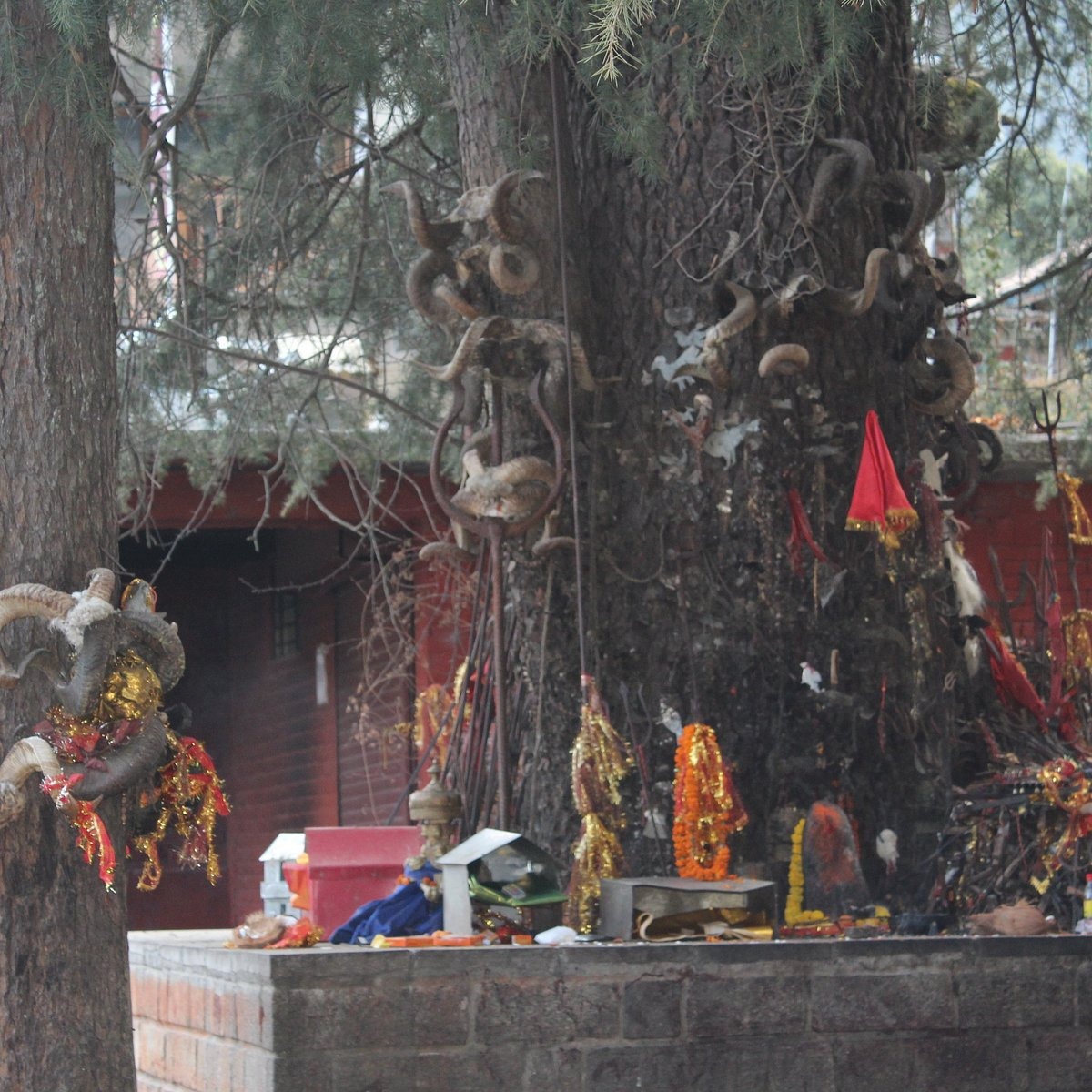Places To Visit In Manali
Ghatotkach Tree Temple
Ghatotkach Tree Temple, Manali Overview
The Ghat...
