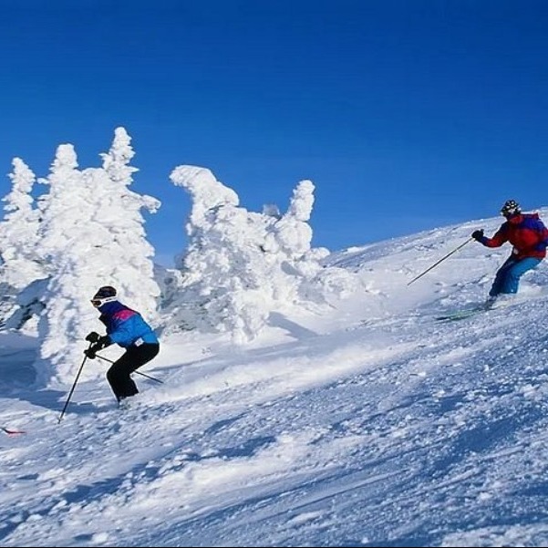 Places To Visit In Manali
Skiing in Manali
Skiing in Manali, Manali Overview
Skiing is popular in...