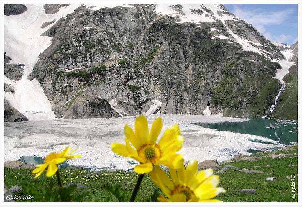 Tourist Places in Jammu & Kashmir
Kashmir Great Lakes Trek
Kashmir Great Lakes Trek, Sonamarg Over...