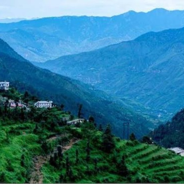 places to visit in uttrakhand
Dhanaulti
Dhanaulti Tourism
With minimal human intrusion, without o...