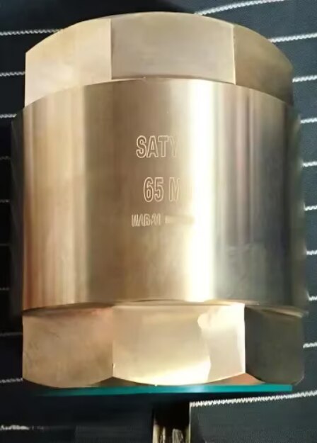 Where to Buy Satyam Multi Check Valves in Mumbai