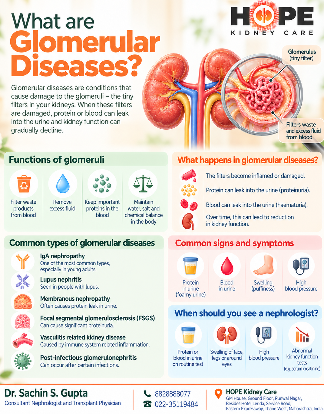 🫘 WHAT ARE GLOMERULAR DISEASES?
Your kidneys contain millions of tiny filters called glomeruli. The...