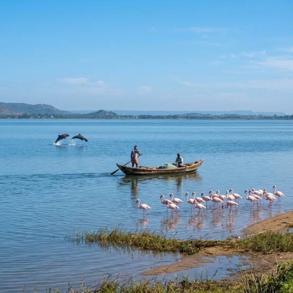 Tourist Places in Odisha
Chilika Lake
Chilika Lake, Puri Overview
Chilika Lake is the largest int...