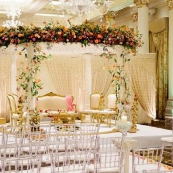 Top 5 Wedd