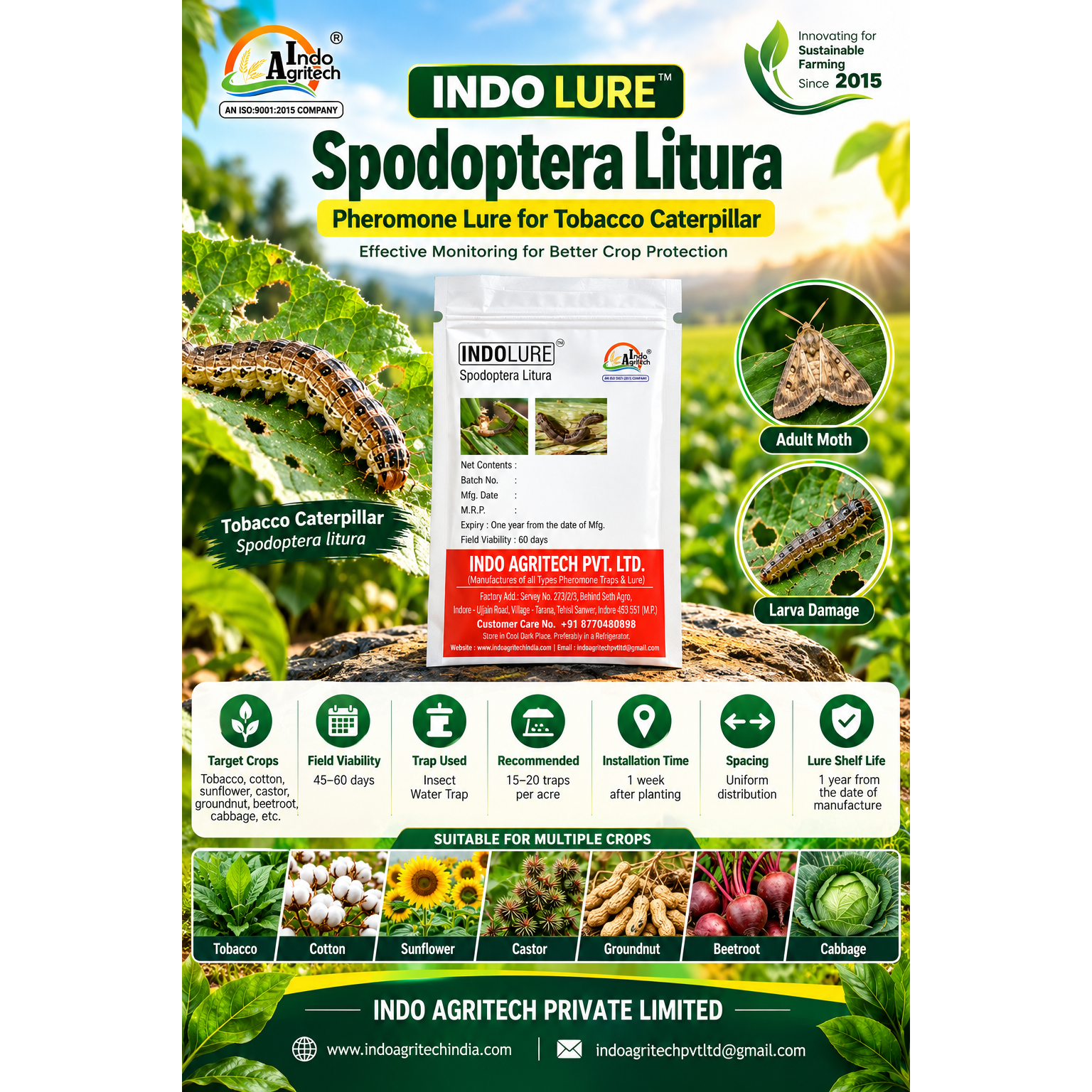 INDO LURE™ – Spodoptera litura Pheromone Lure Manufacturer in India