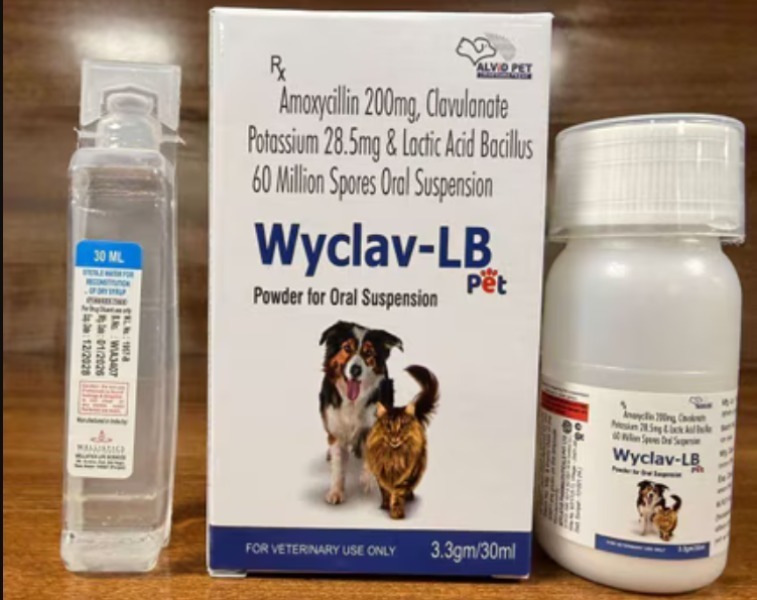 Choosing a Pet Supplement Supplier for a Growing Pet Care Business