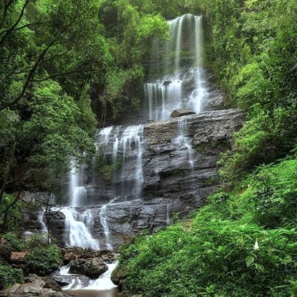 Places to visit in Karnataka
Chikmagalur
Chikmagalur Tourism
Chikmagalur, known as the "Coffee L...