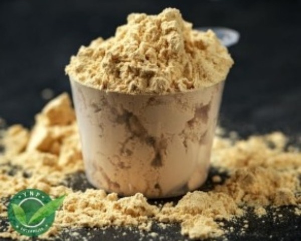 Protein Powder Ingredients Supplier in Delhi