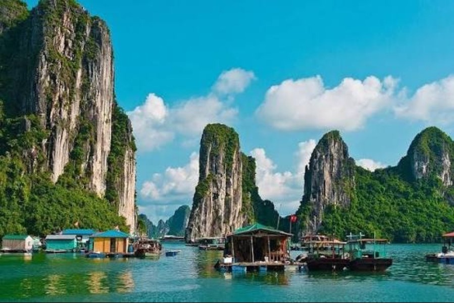 Places To Visit in Vietnam
Halong Bay
Halong Bay Tourism
Characterised by towering karst limeston...