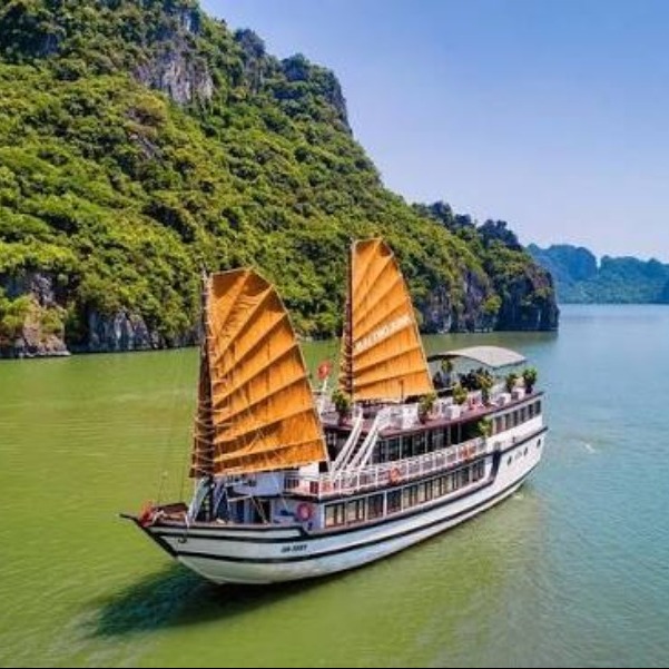 Places To Visit in Vietnam
Bai Tu Long Bay
Bai Tu Long Bay Tourism
Bai Tu Long Bay in Northeaster...