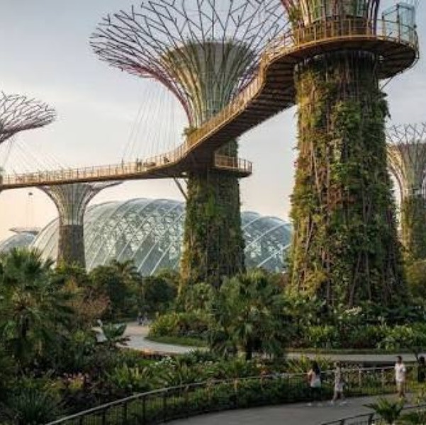 Places to isit In Singapore
Gardens by the Bay
Gardens by the Bay, Singapore Overview
Gardens by...