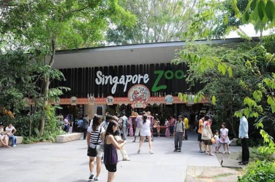 Places to isit In Singapore
Singapore Zoo
The Singapore Zoo, Singapore Overview
Singapore Zoo is...
