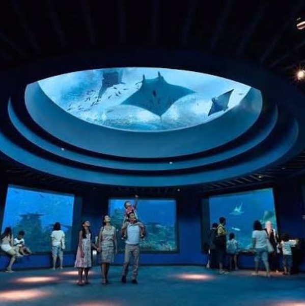 Places to isit In Singapore
Singapore Oceanarium
SEA Aquarium, Singapore Overview
Singapore Ocea...