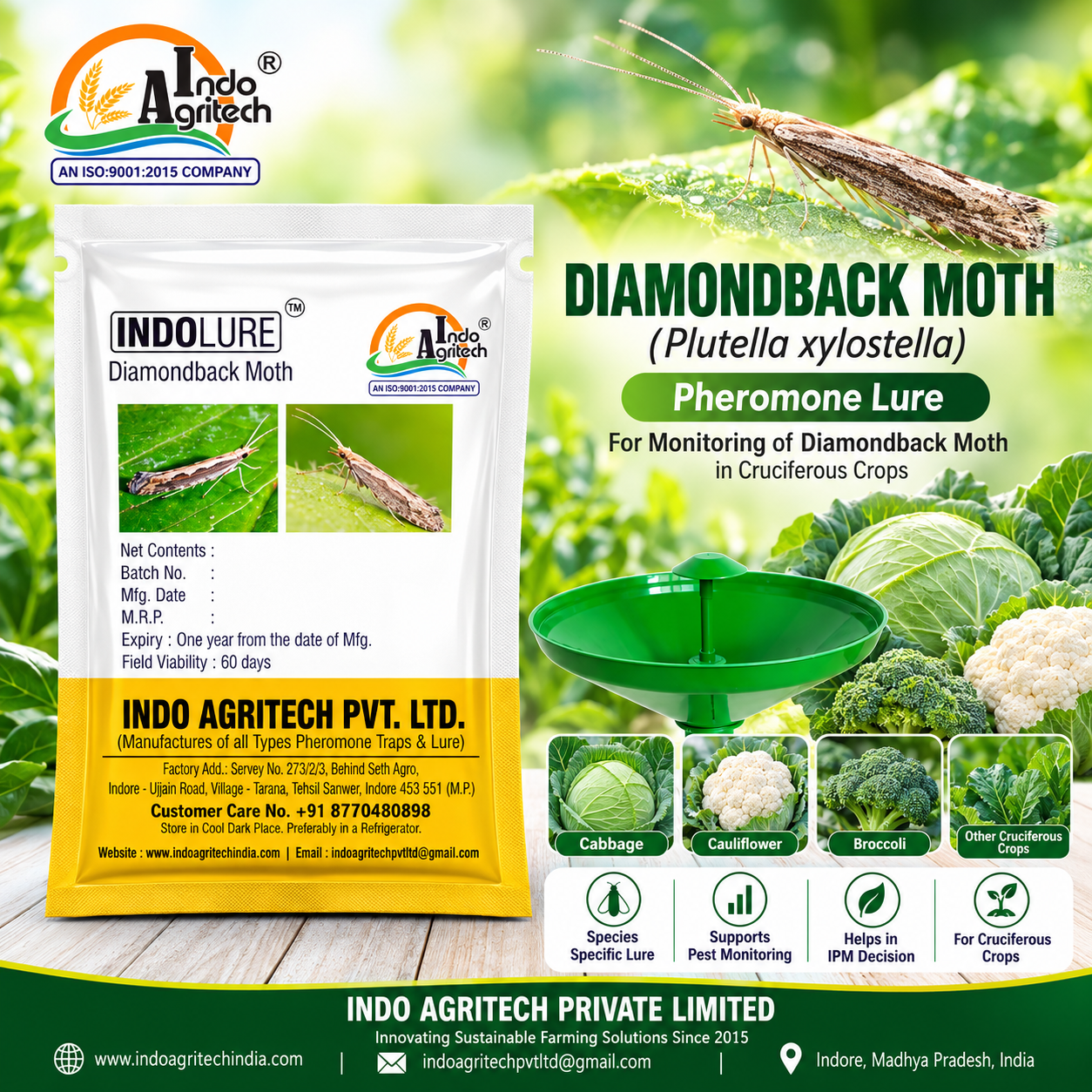 DIAMONDBACK MOTH (Plutella xylostella) – Agricultural Pest Monitoring Solutions in India