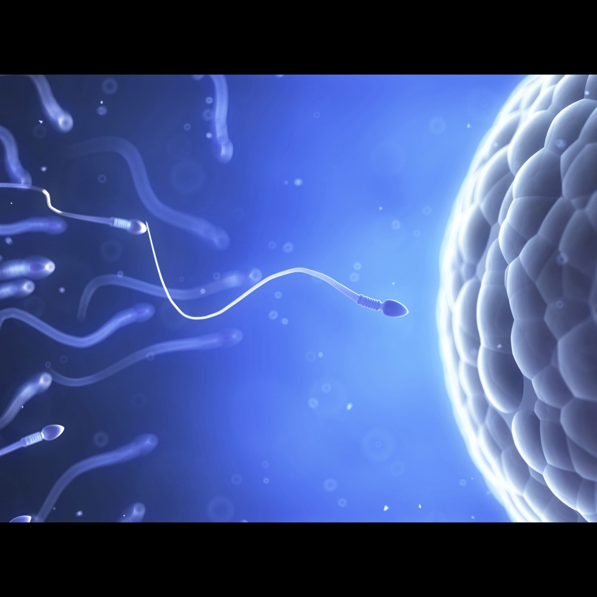 ivf specialist