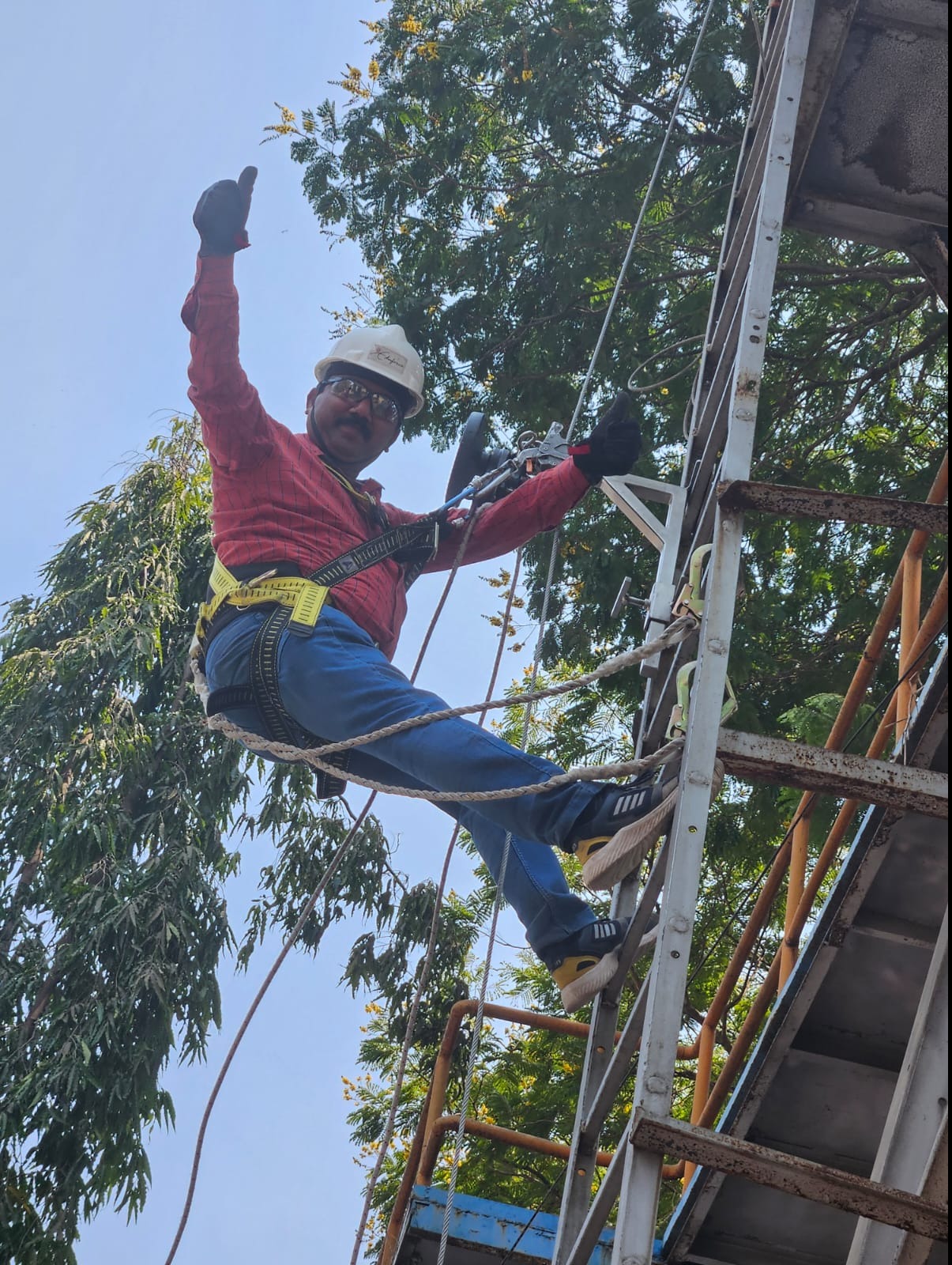 boisar risk assessment service