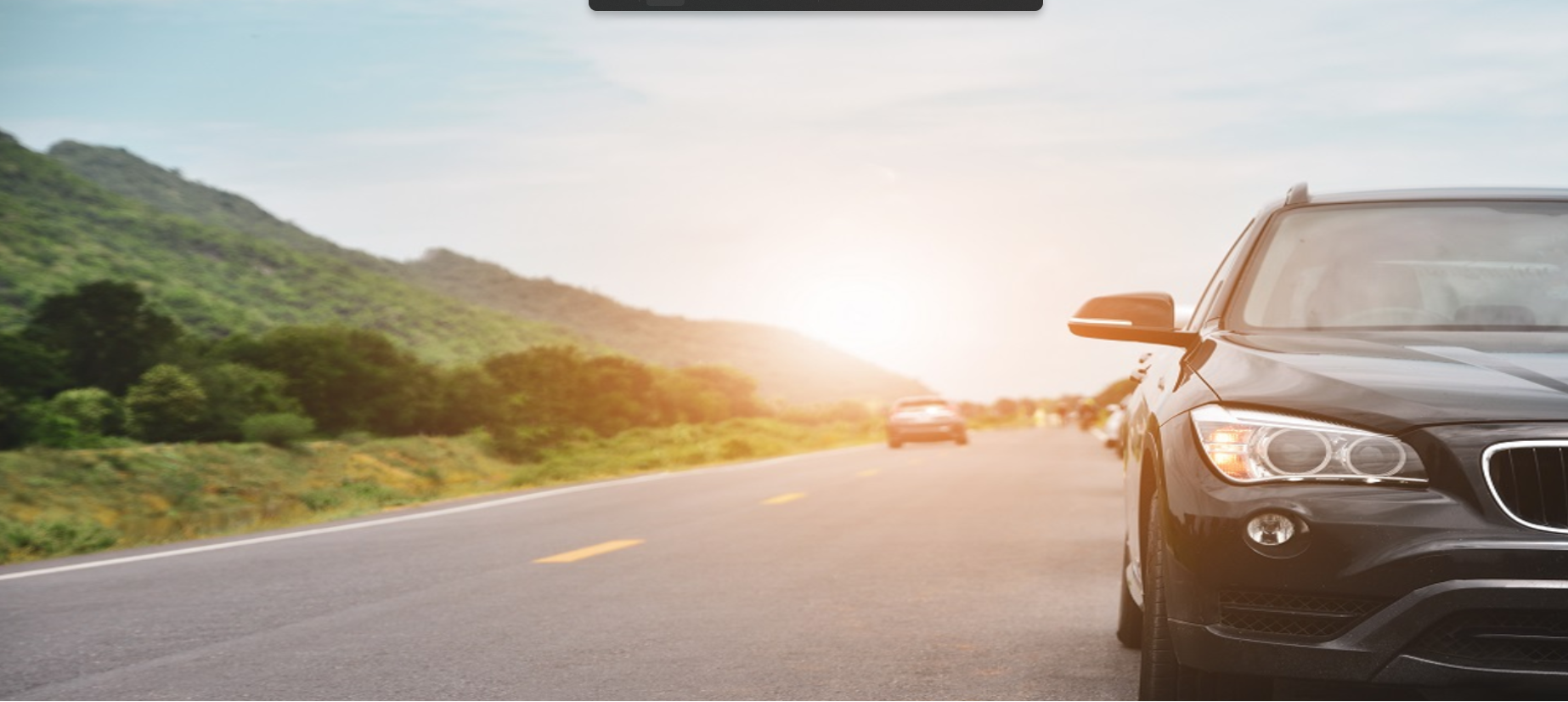 luxury and sporty vehicle flee