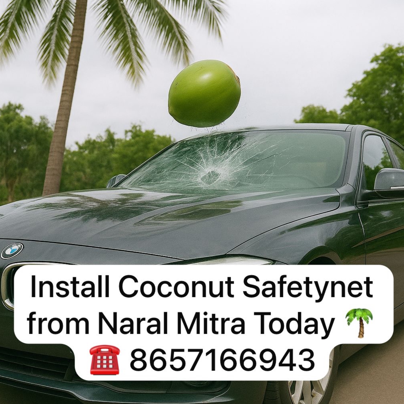 coconut tree health treatment 