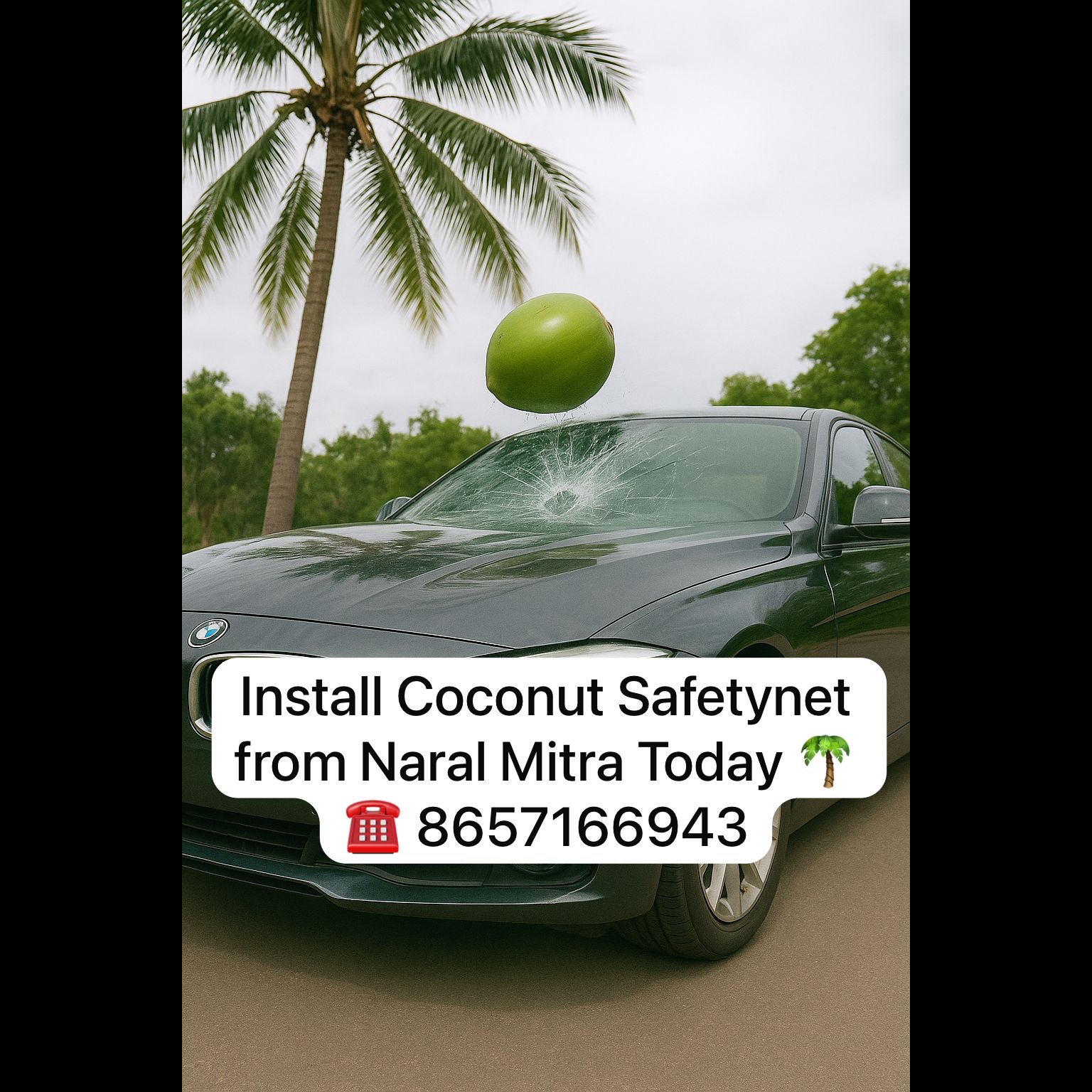 long lasting coconut fall prot