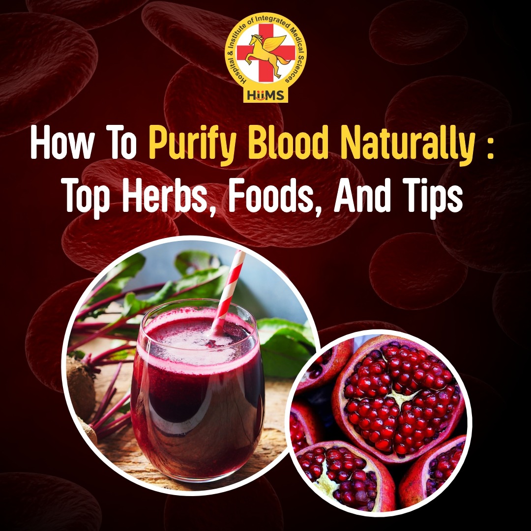 How to Purify Blood Naturally: Top Herbs, Foods... main image