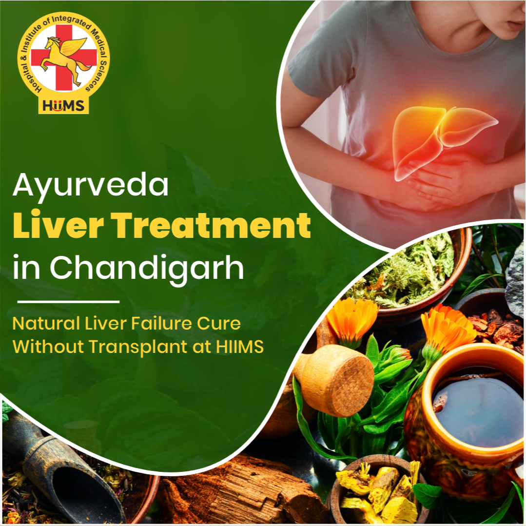 Liver Treatment in Ayurveda in Chandigarh – Nat... main image