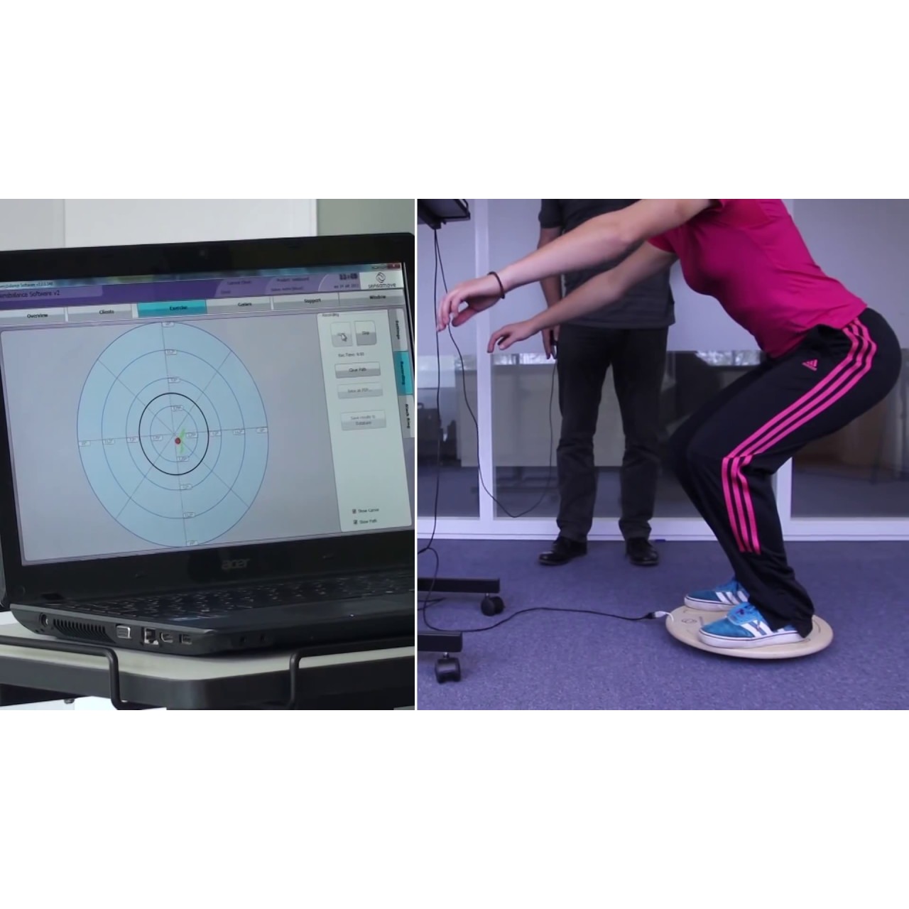 ankle muscles
